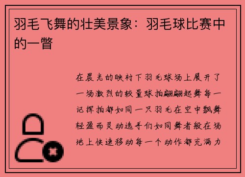 羽毛飞舞的壮美景象：羽毛球比赛中的一瞥